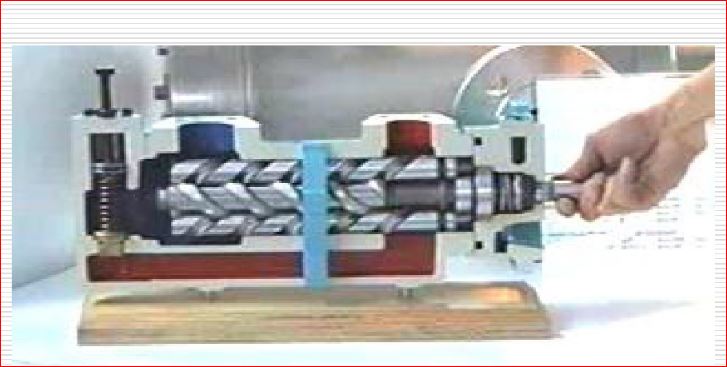 清晰结构的三螺杆泵