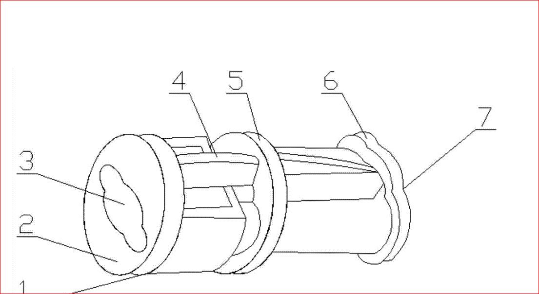 清晰结构的三螺杆泵