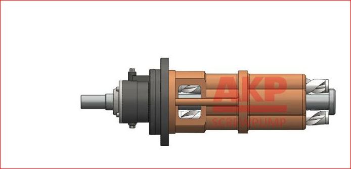 清晰结构的三螺杆泵