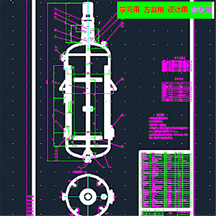 100TPD反应釜CAD2D图 机械设计参考资料设计素材