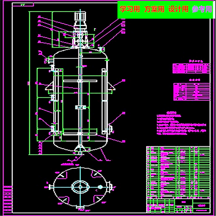 100TPD反应釜CAD2D图 机械设计参考资料设计素材