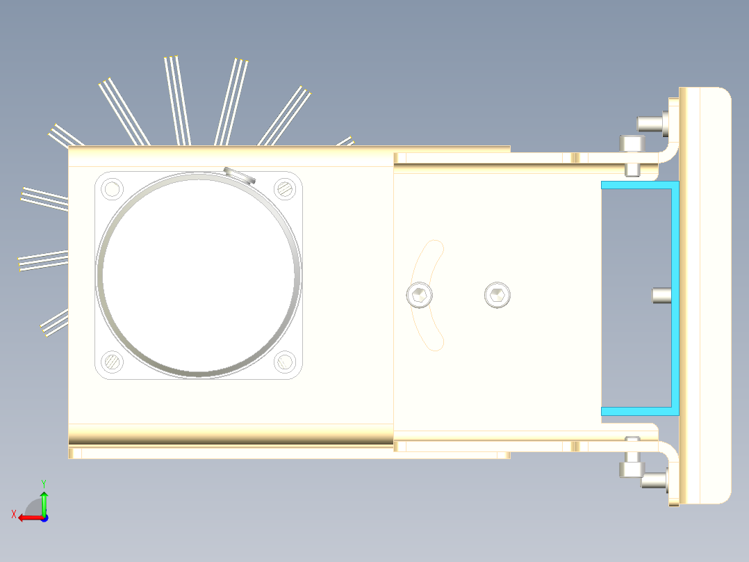毛刷清洗后视图