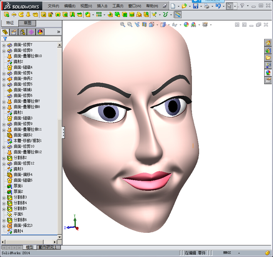 solidworks人脸模型
