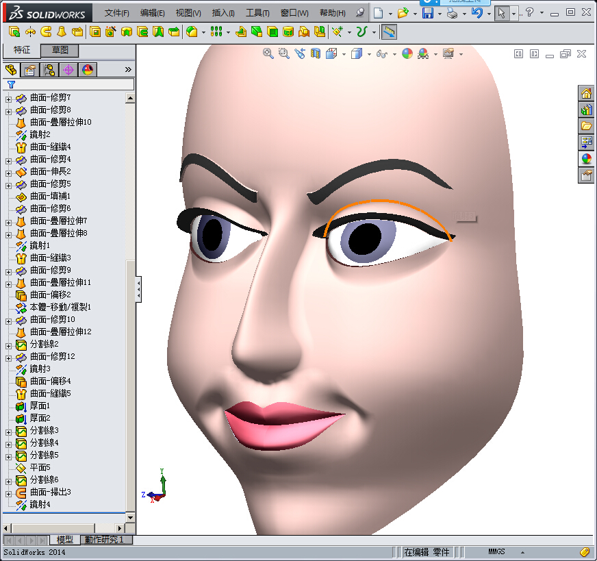 solidworks人脸模型