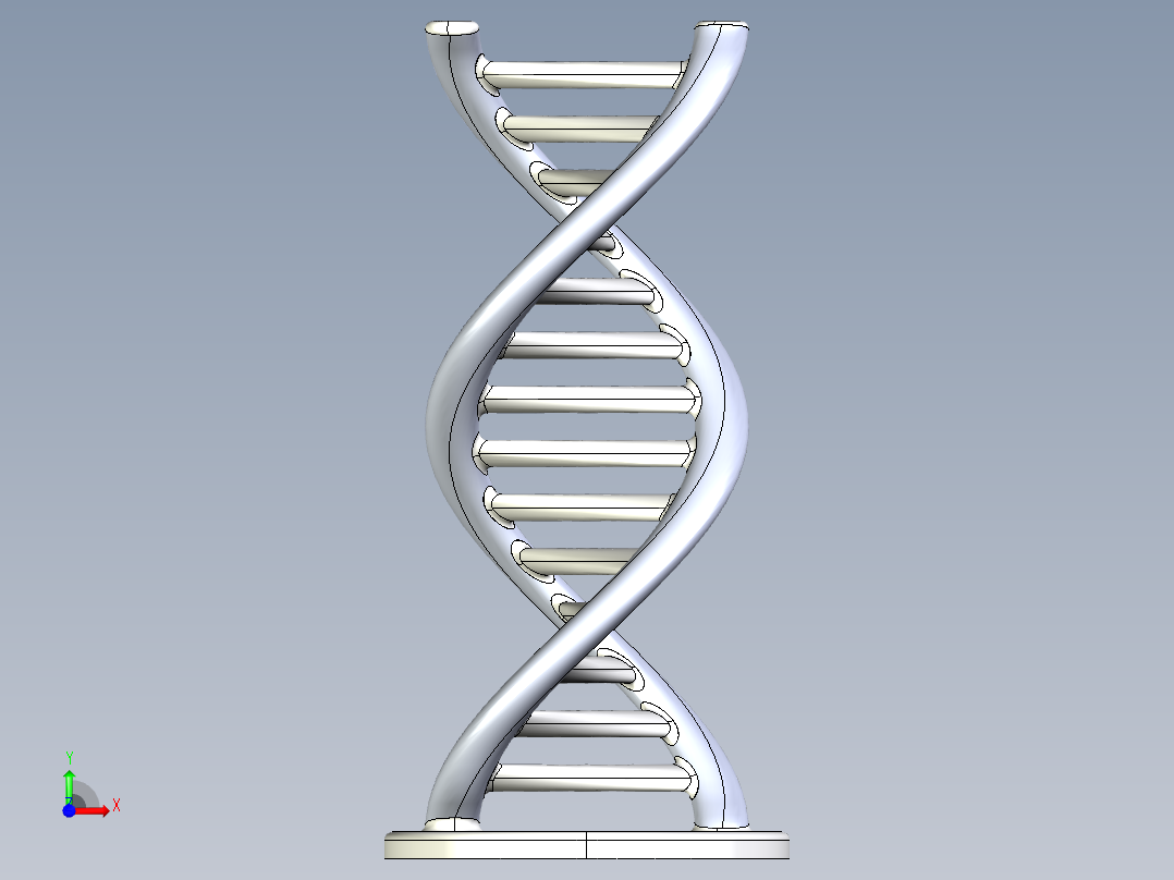 DNA基因染色体13前视图
