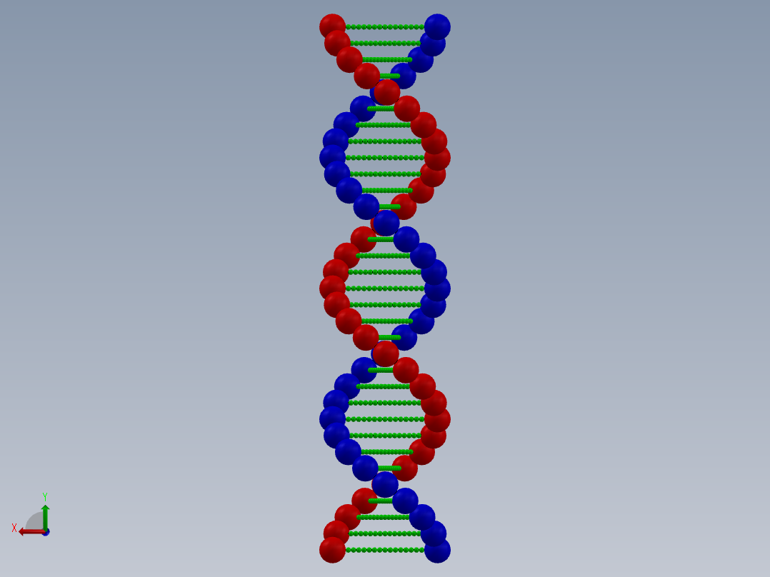 脱氧核糖核酸后视图