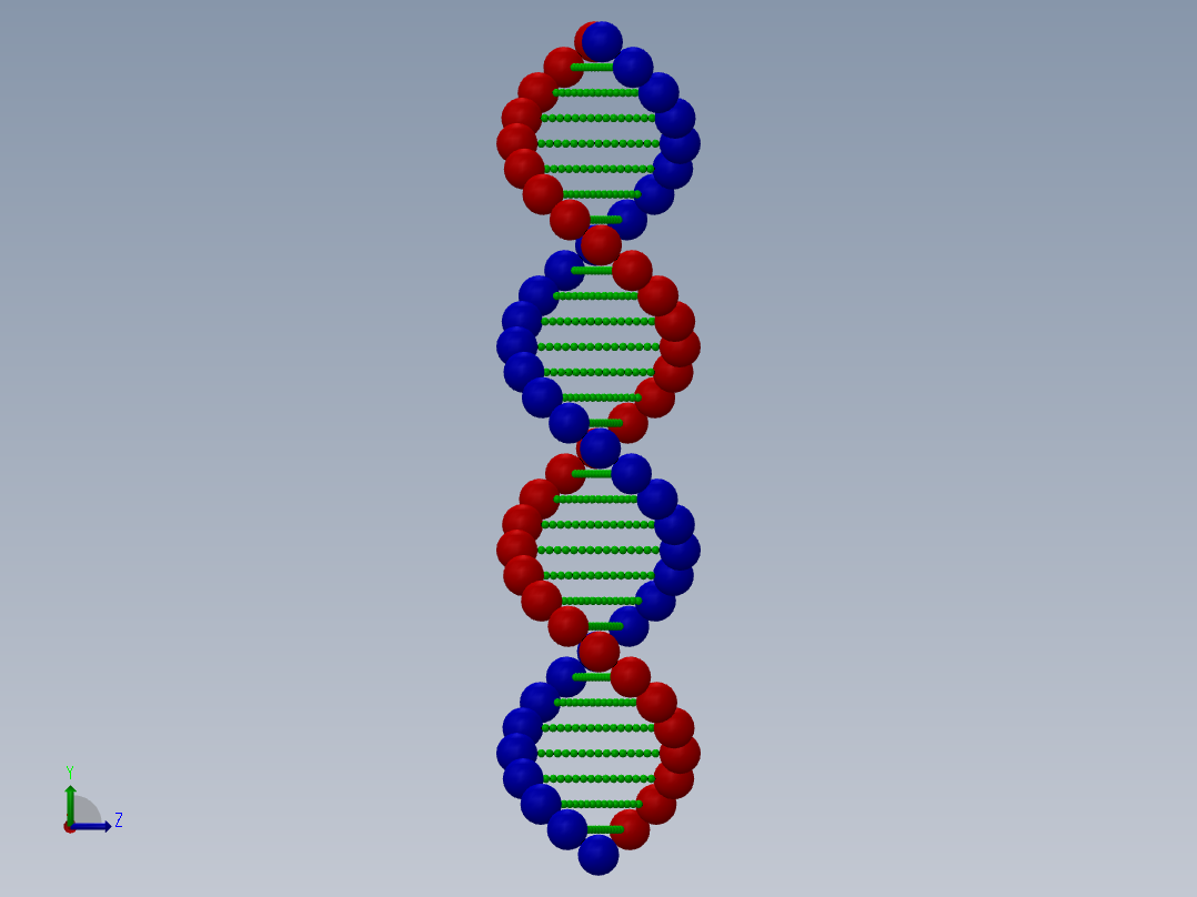脱氧核糖核酸左视图