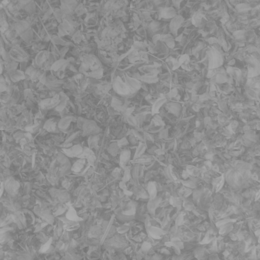 激光打标检测机sw18可编辑