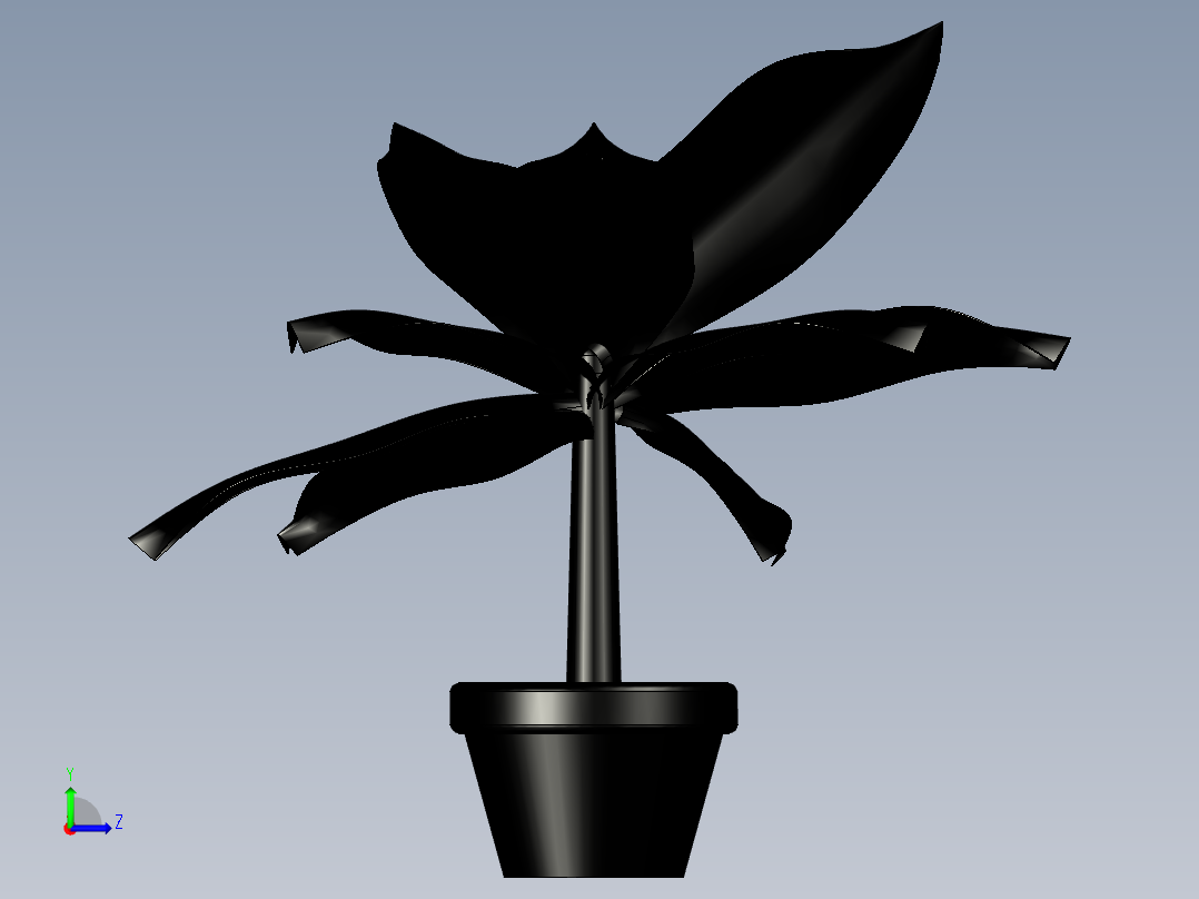 芭蕉植物左视图