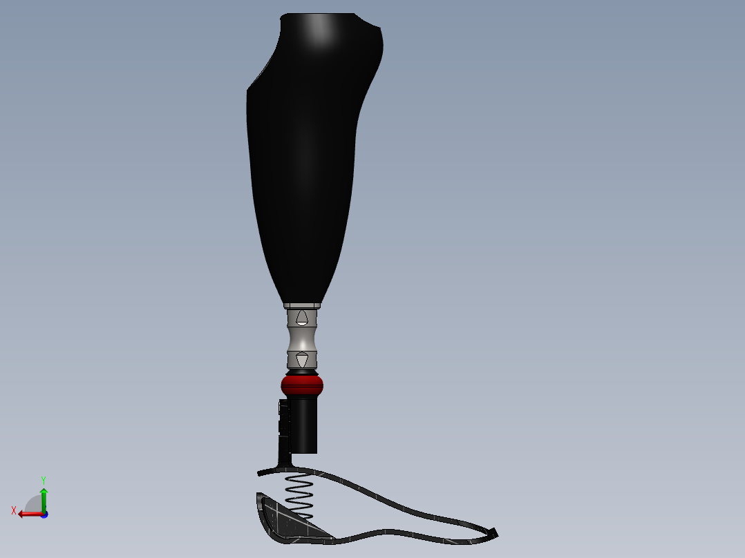 膝关节假体下面后视图