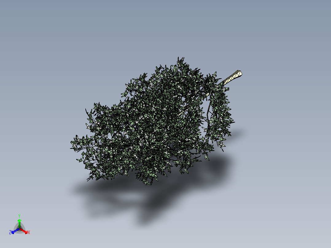 枫树正等轴测图