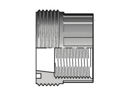 20FBFV 结合布什与BSP螺纹母端