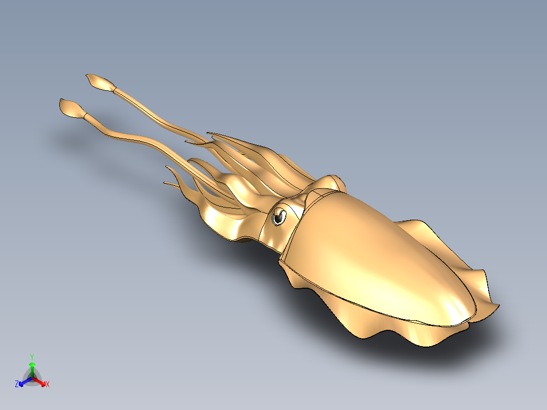 墨鱼正等轴测图