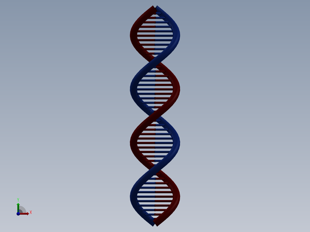 DNA基因染色体9前视图