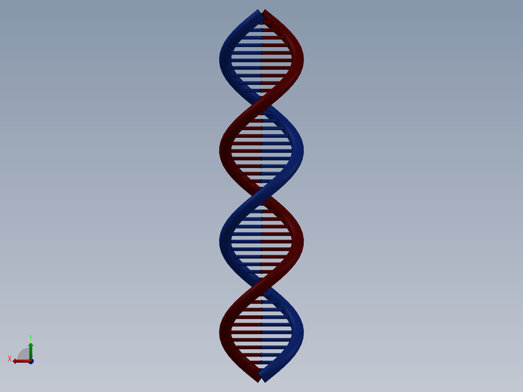 DNA基因染色体9后视图