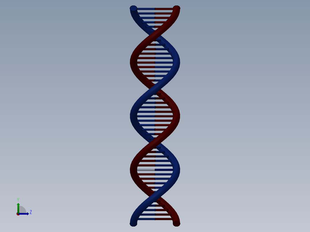 DNA基因染色体9左视图