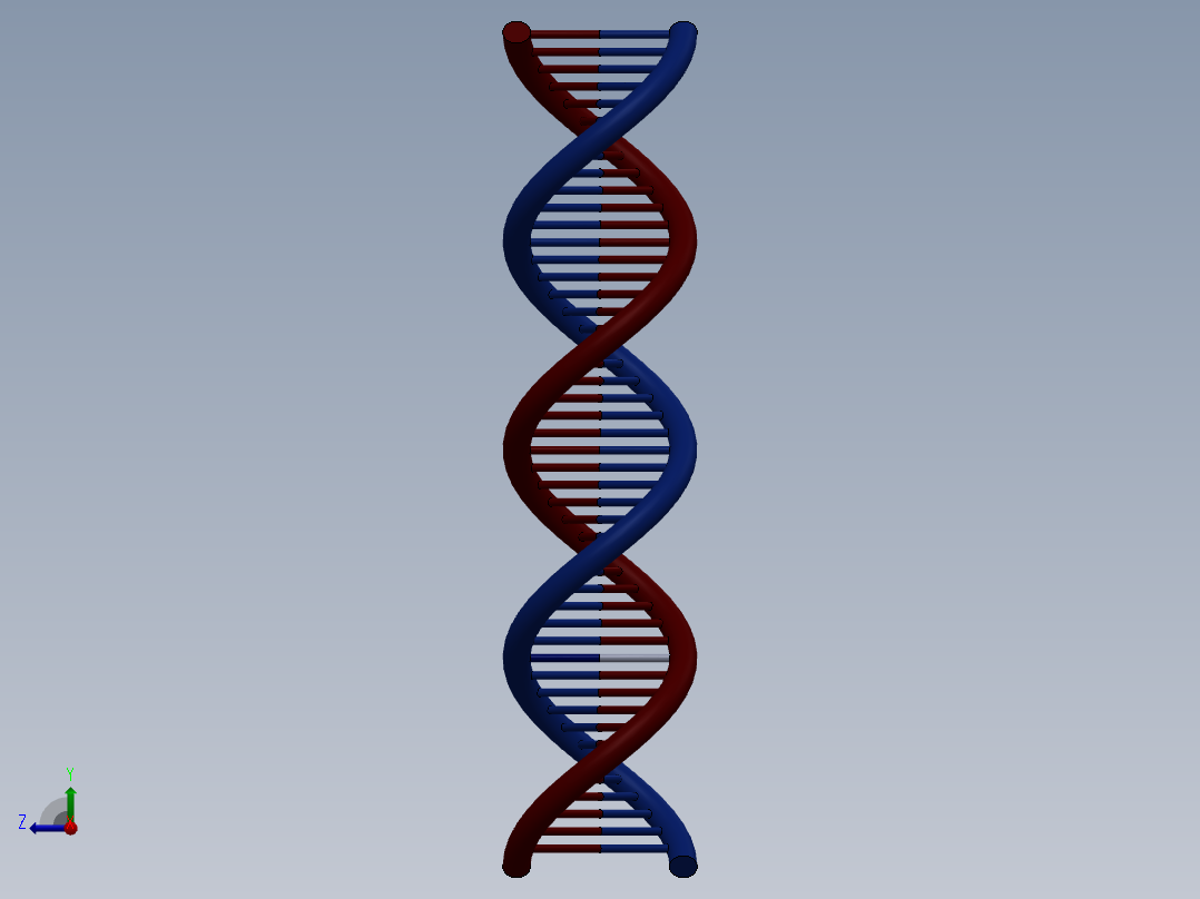 DNA基因染色体9右视图