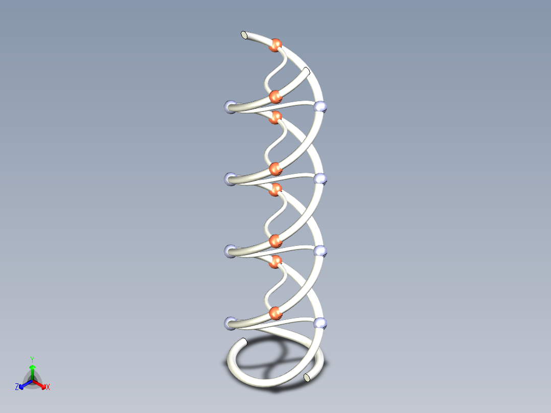 DNA基因染色体17