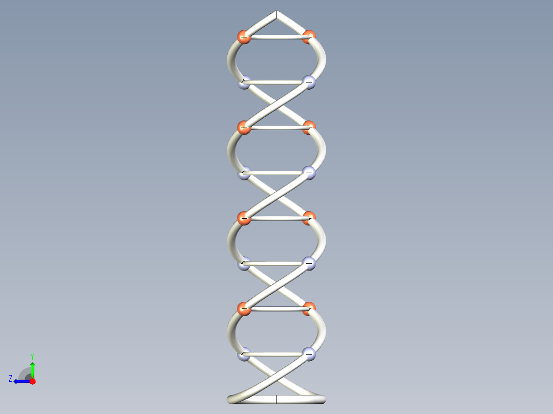 DNA基因染色体17右视图