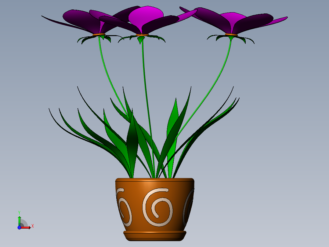 君子兰花前视图