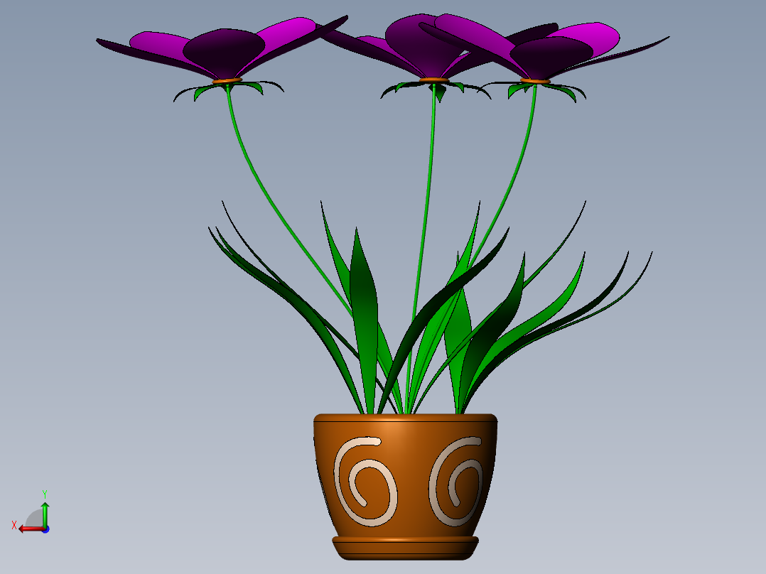 君子兰花后视图