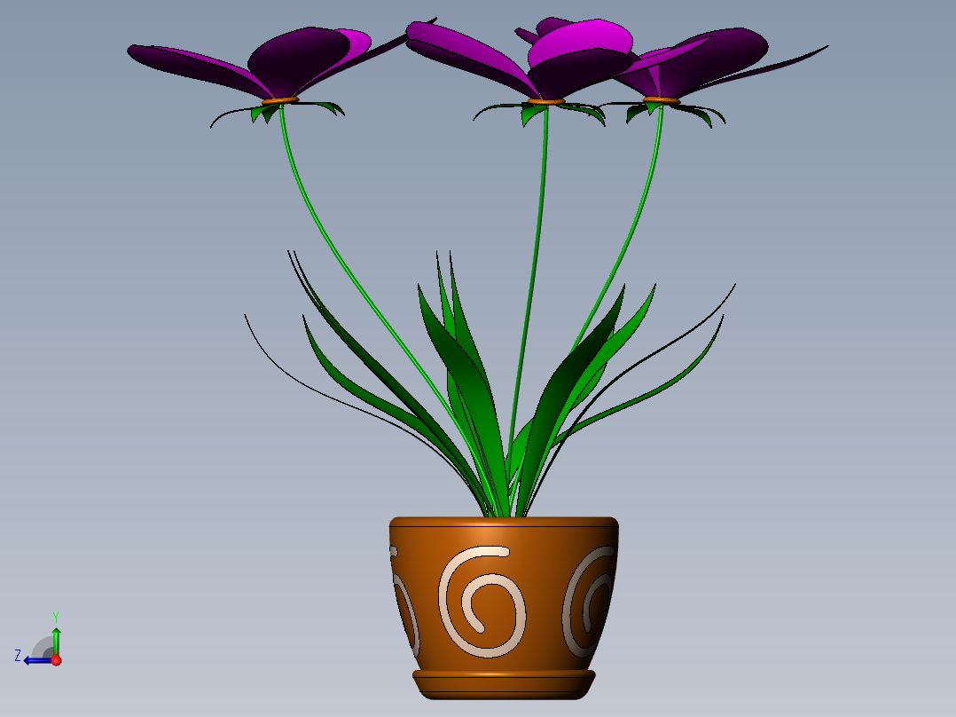 君子兰花右视图