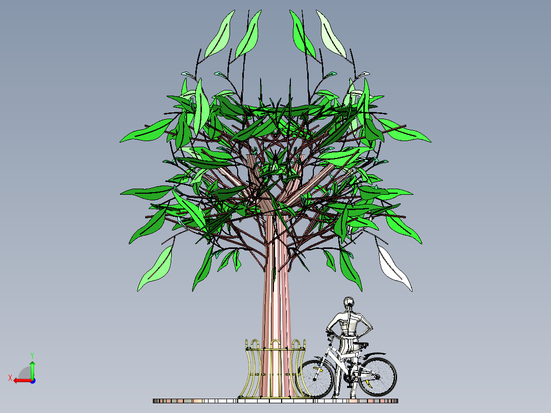 自行车停放植物后视图