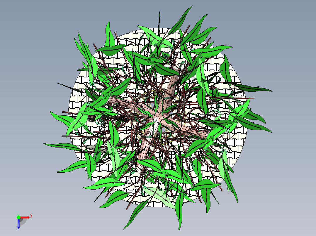 自行车停放植物俯视图