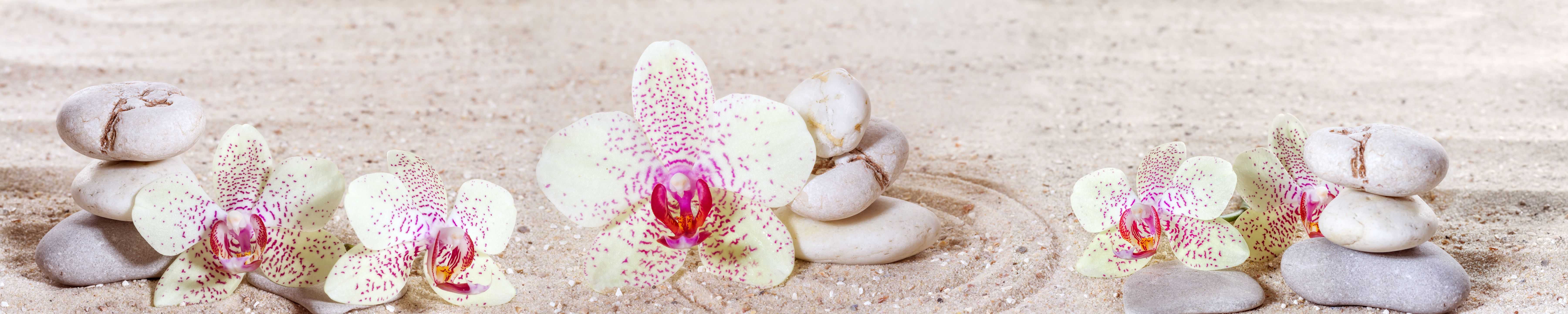 桌椅各类家具 (12)