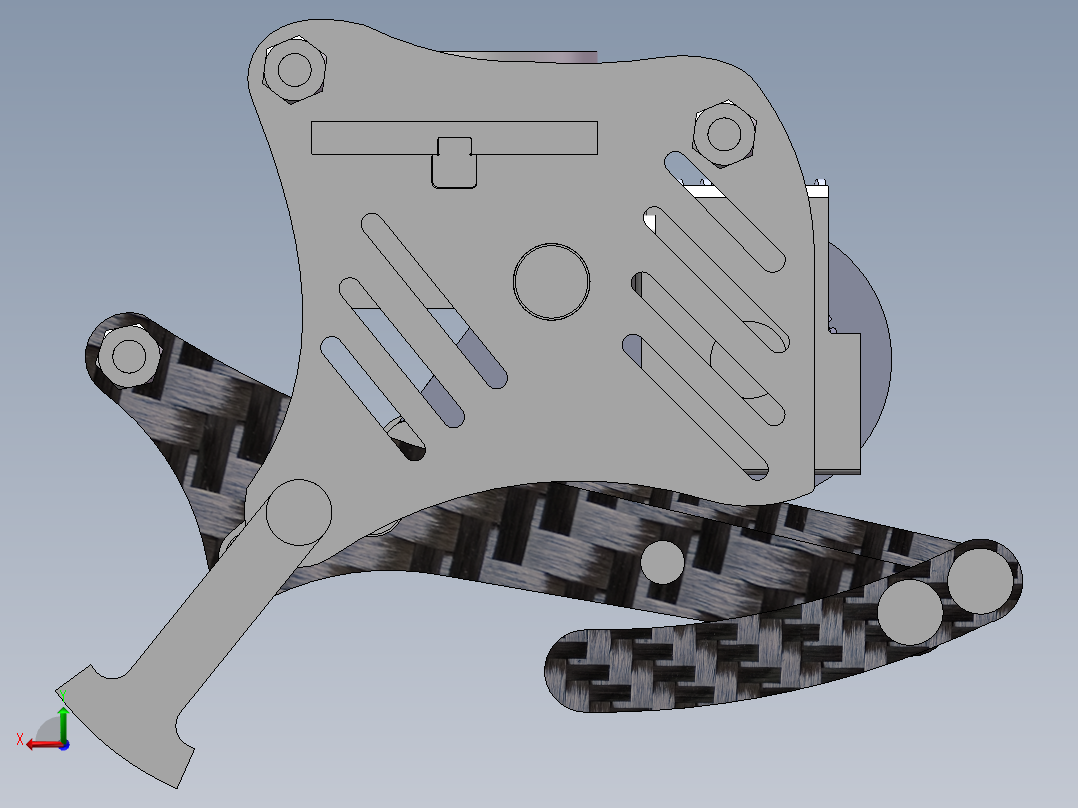 仿生青蛙模型后视图