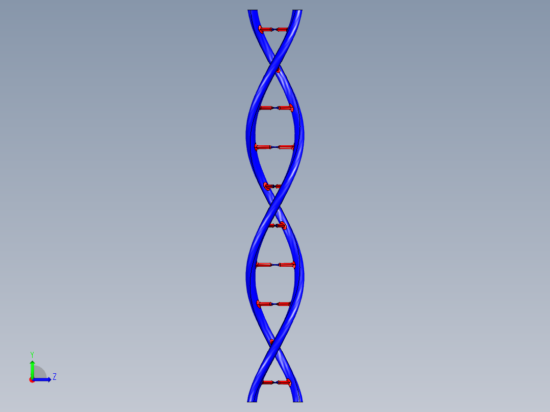 DNA基因染色体16左视图