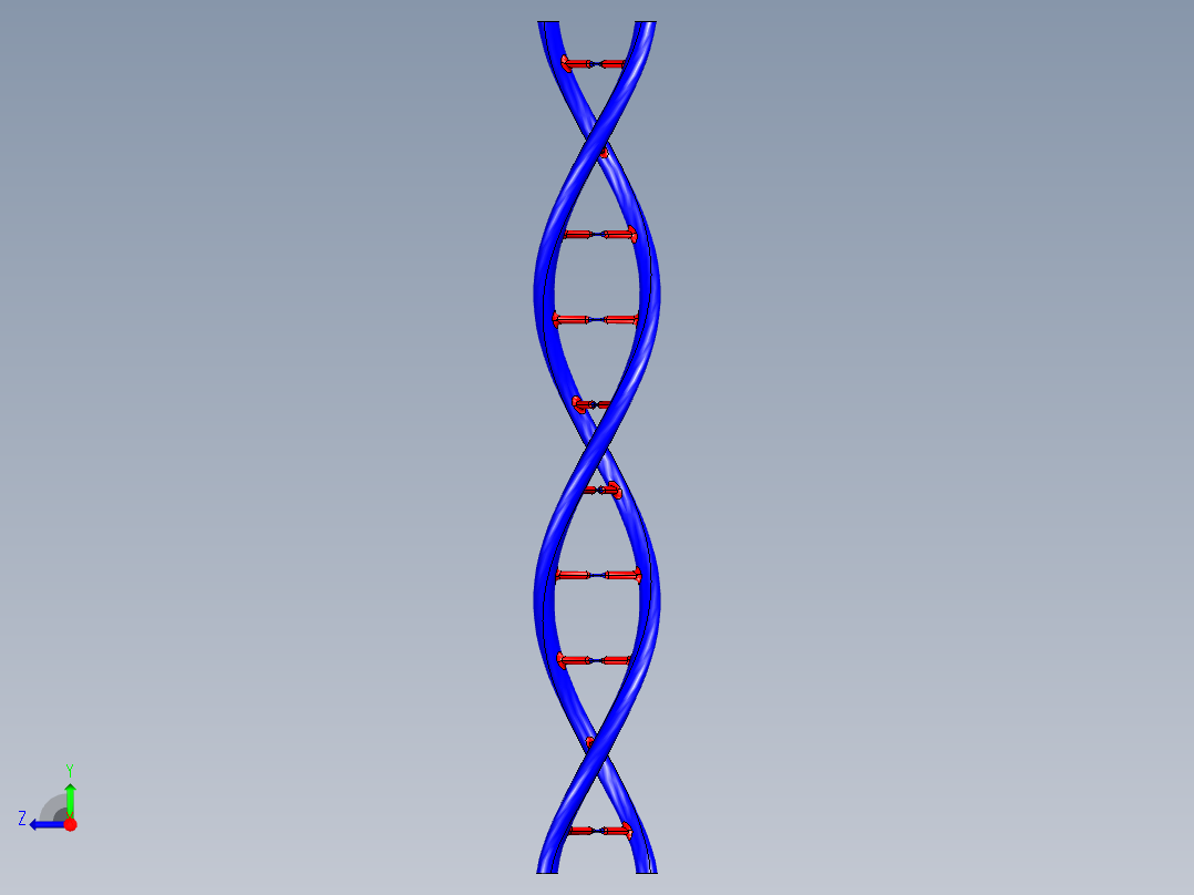 DNA基因染色体16右视图