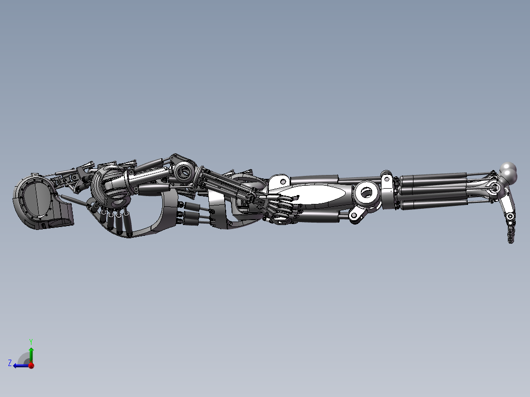 仿骨架机器人设计右视图