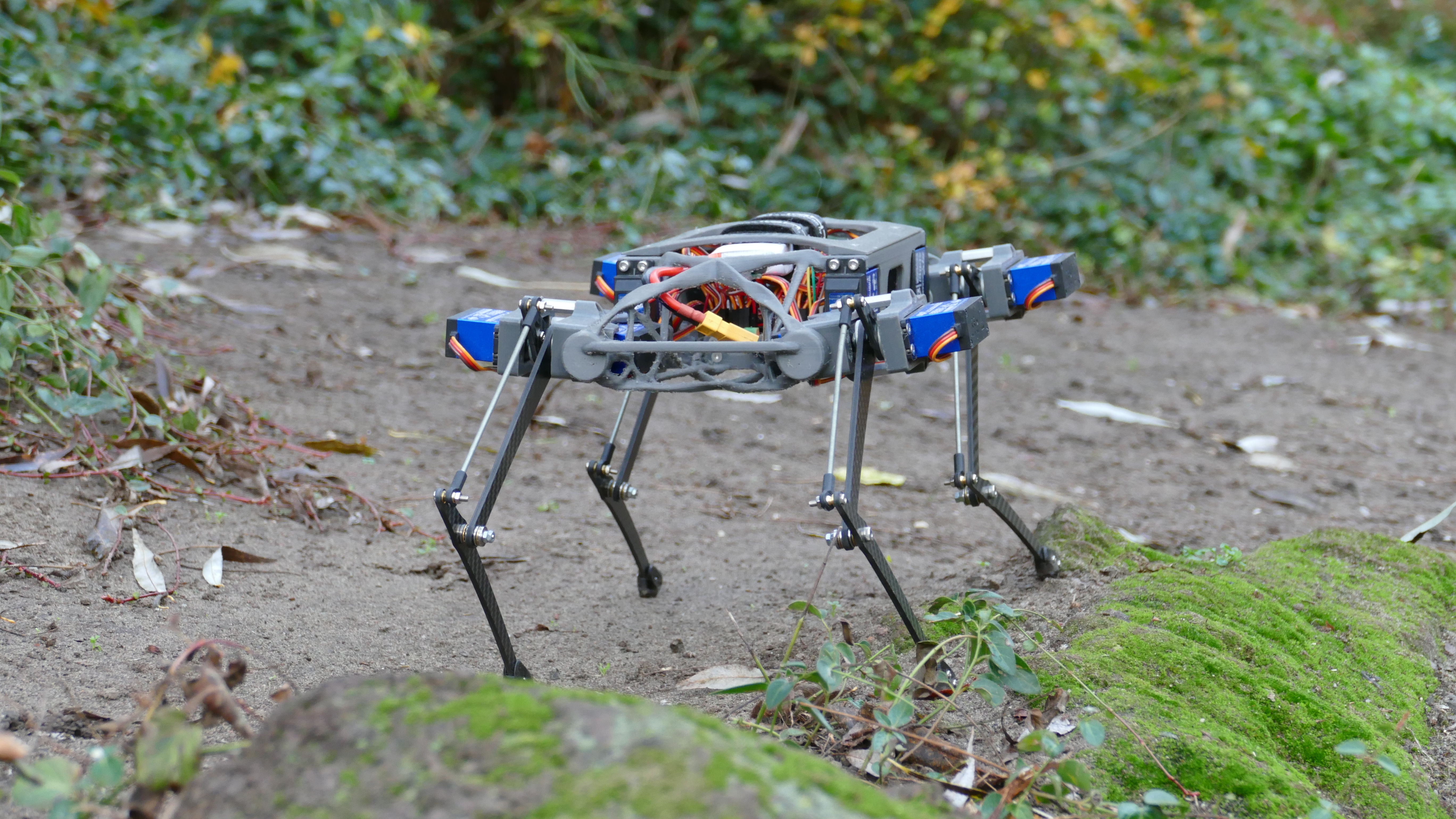 walking-quadruped-robot-diy-1.snapshot.17