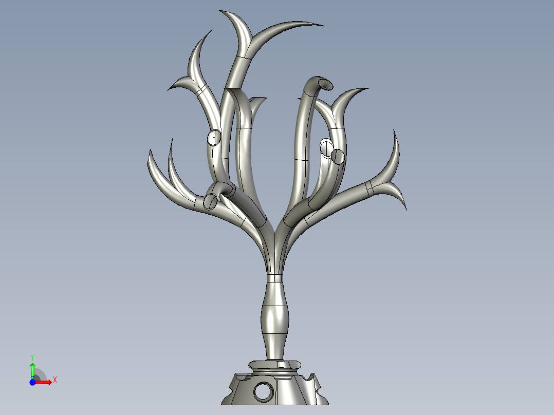 管状海藻前视图