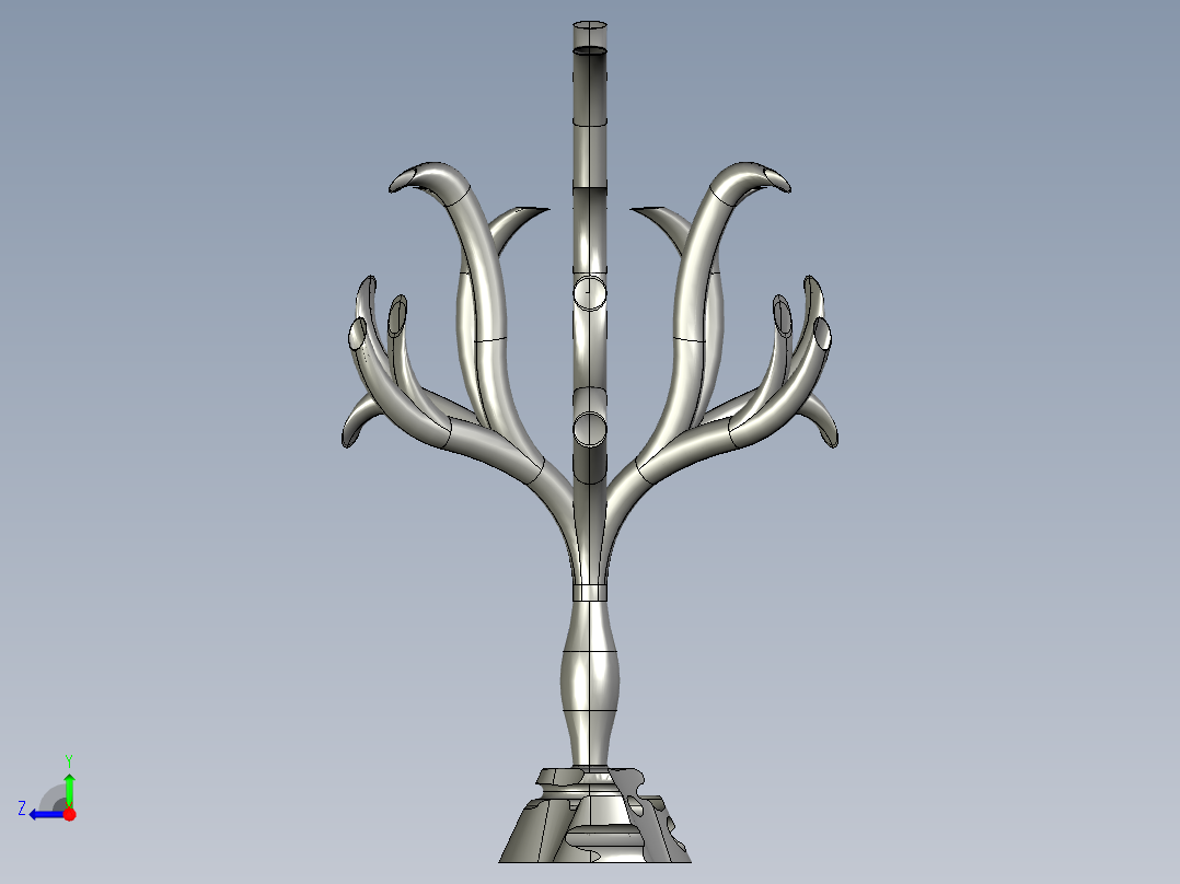 管状海藻右视图