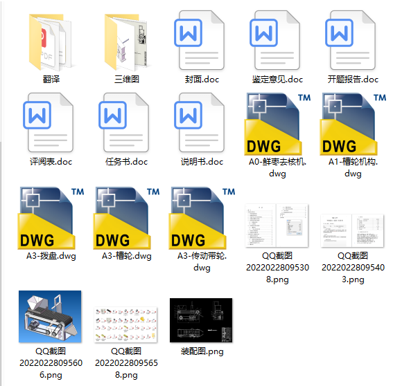 大枣红枣冬枣鲜枣去核机设计 含CAD图纸+SW三维模型+说明书