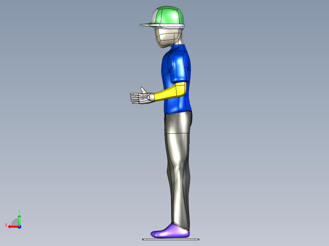 人体模型-站立式后视图