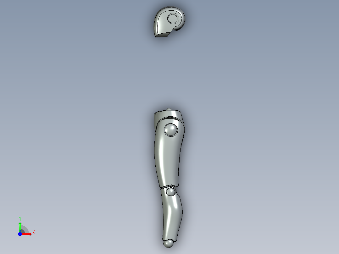 人体模型前视图