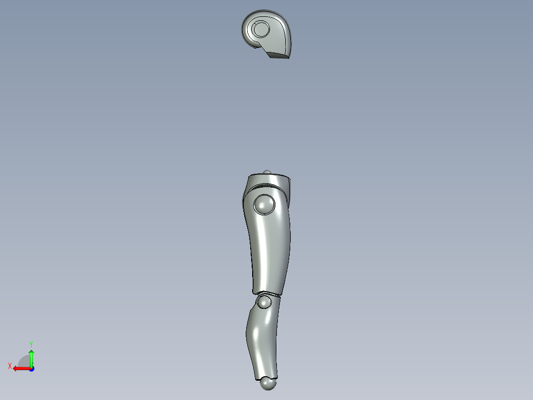 人体模型后视图