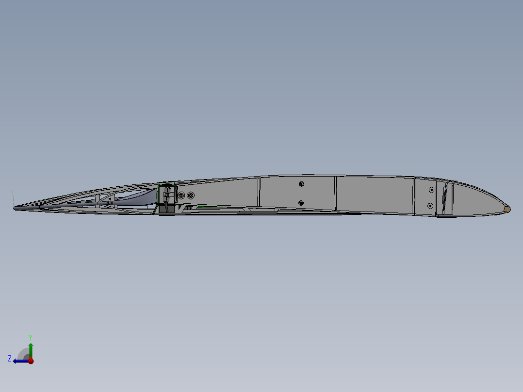 虎蛾上左舷翼右视图