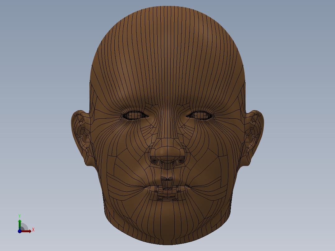 人头模型SW前视图