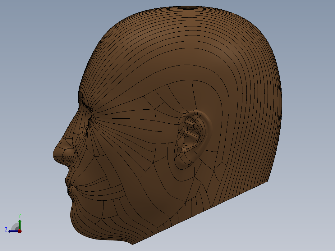 人头模型SW右视图