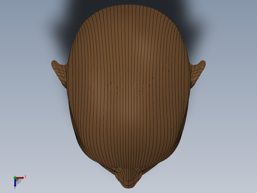 人头模型SW俯视图