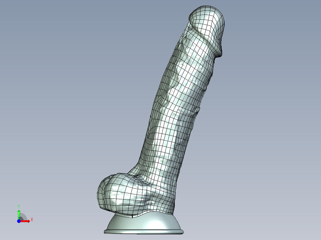 男性生殖器模具前视图