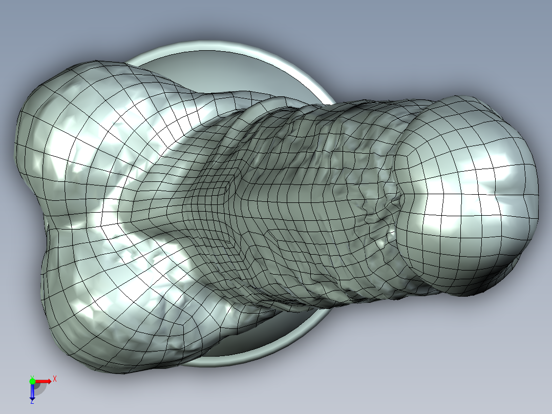 男性生殖器模具俯视图