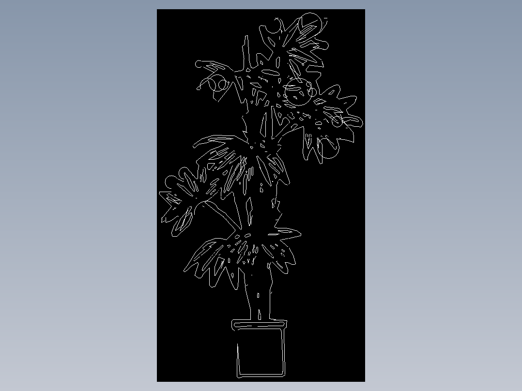 花草-C-5PJ02