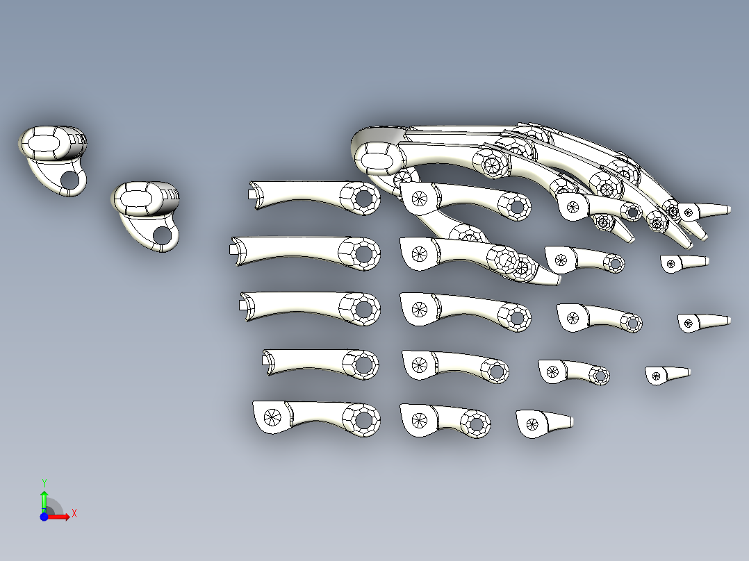 简易手掌骨骼前视图