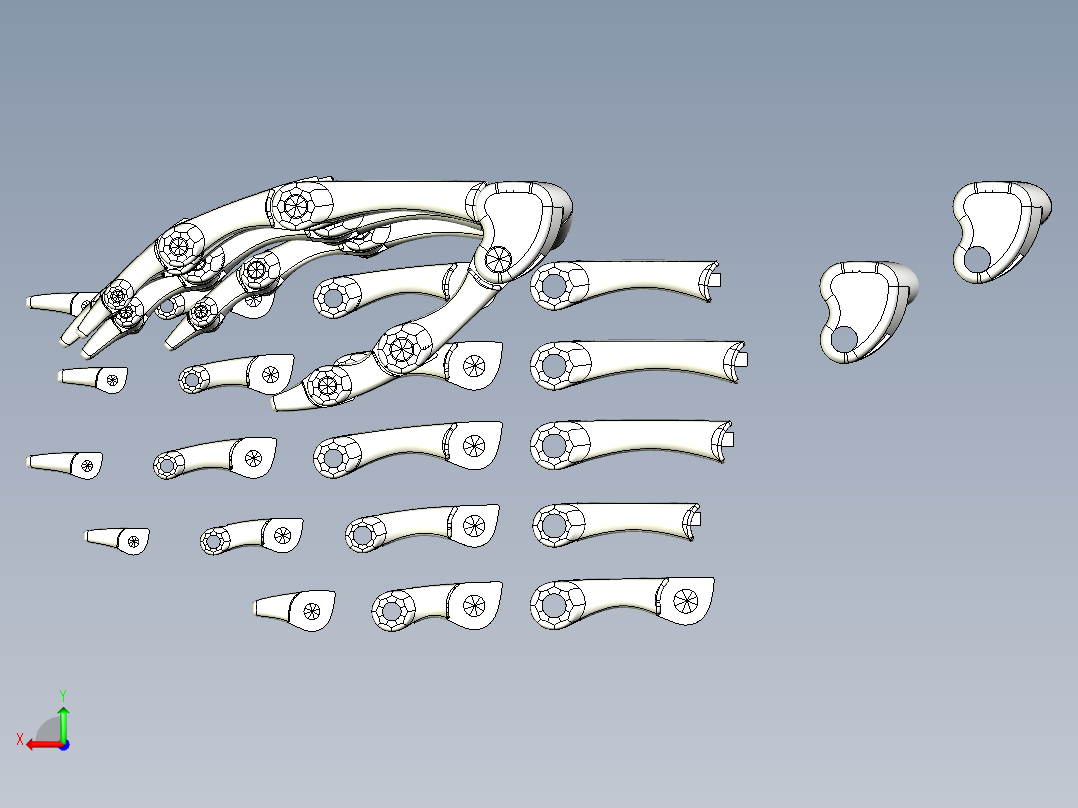 简易手掌骨骼后视图