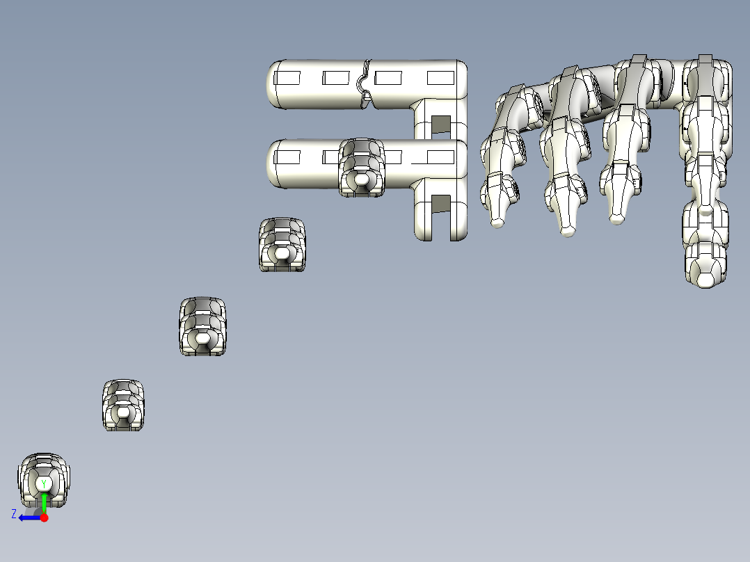 简易手掌骨骼右视图
